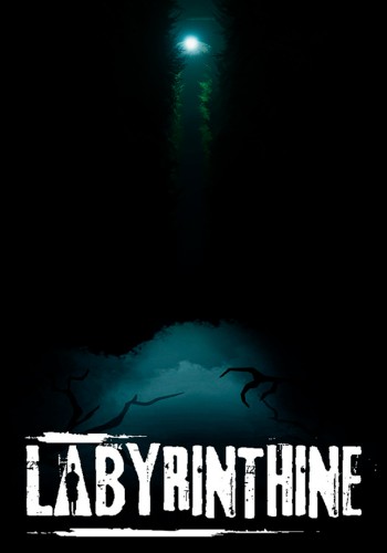 Labyrinthine [v 20231201] (2023) PC | RePack by Slezen