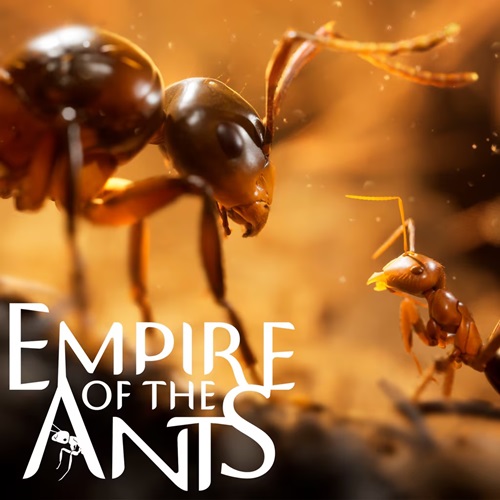 Empire of the Ants: Digital Deluxe Edition [v 1.02.19732 + DLCs] (2024) PC | RePack by Drake