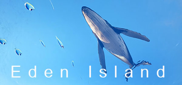 Eden Island [v 1.0 | Early Access] (2022) PC | RePack from Pioneer